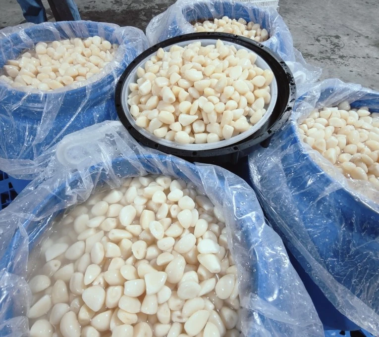 product-800-712 garlic 1