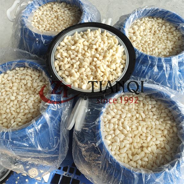 Siung bawang putih asin dalam air garam