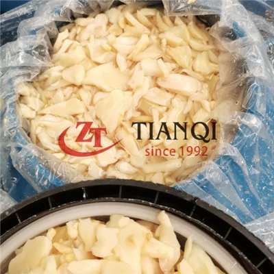 Jamur tiram raja asin dalam drum