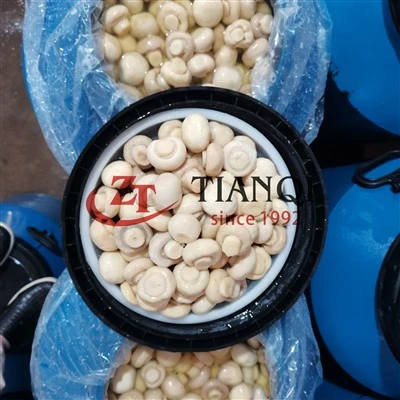 Jamur Kancing Putih yang Diawetkan dalam Drum – Grosir Massal untuk Industri Makanan