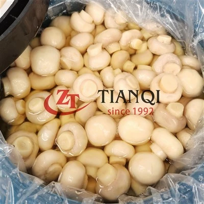 Jamur Kancing Utuh dalam Drum – Grosir Massal untuk Pengolahan Makanan|Makanan Tianqi