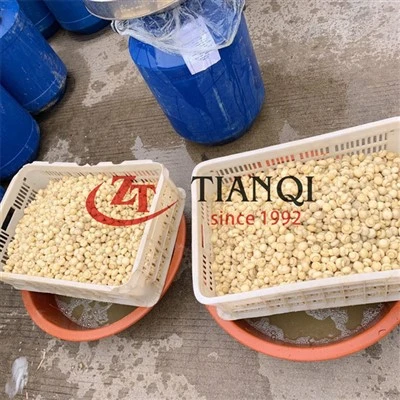 Jamur kancing lezat dalam Brine dalam drum