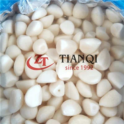 Acar bawang putih dalam air garam tanaman baru